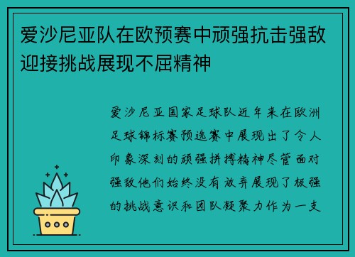 爱沙尼亚队在欧预赛中顽强抗击强敌迎接挑战展现不屈精神